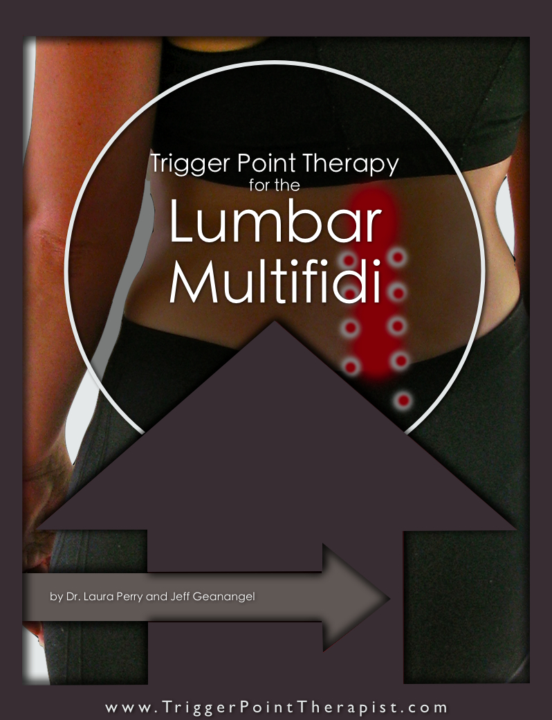 Trigger Point Video For Lumbar Multifidi Muscles