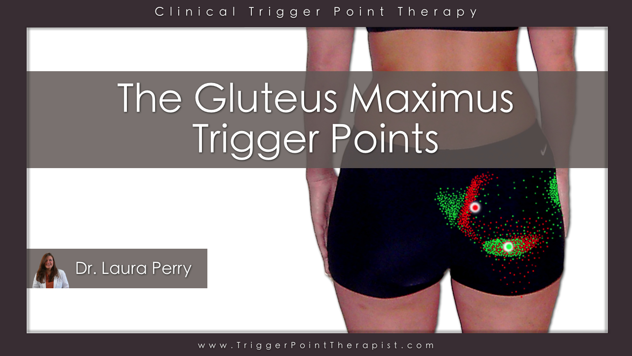 Gluteus Maximus Trigger Points A Real Pain in the Rear End