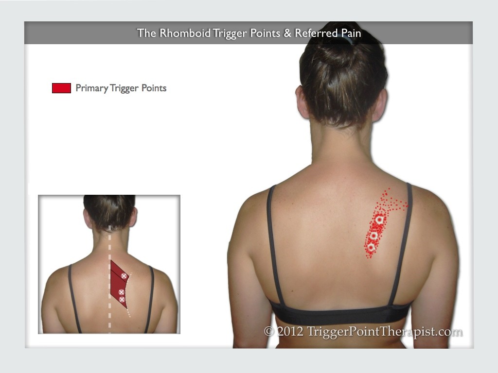 How to relieve pain under the shoulder blade? - Physiotattva