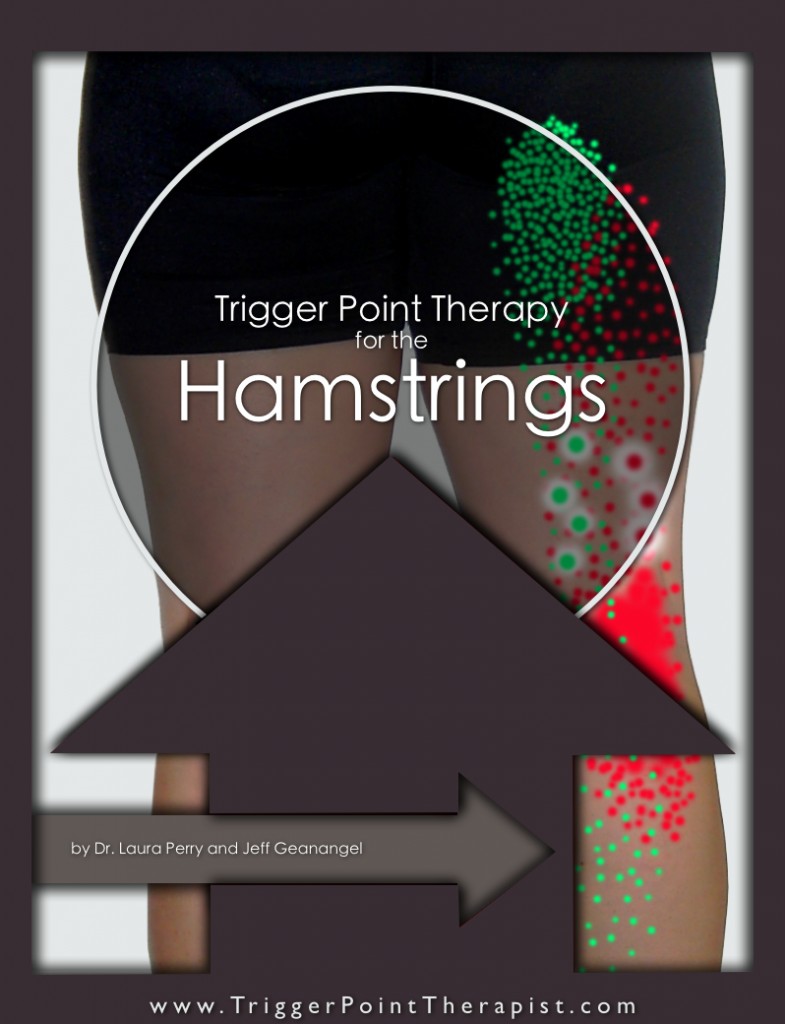 Vastus Lateralis Trigger Points: The Knee Pain Trigger Points - Part 1 ...