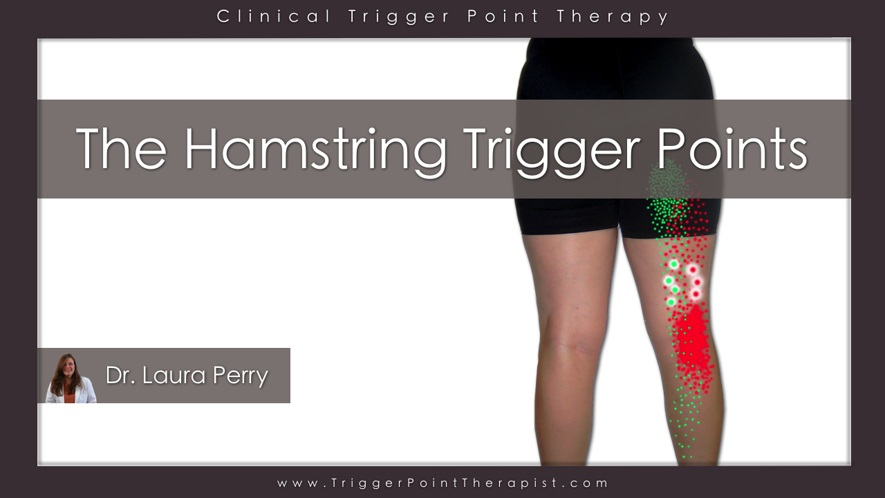 The Hamstring Trigger Points: Hiding in Plain Sight ...