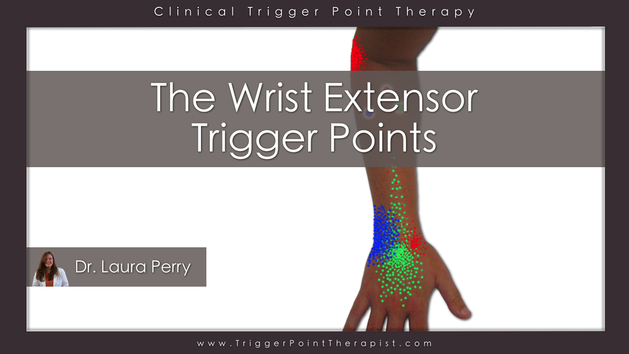 Trigger Point Video for Wrist Extensor Muscles | TriggerPointTherapist.com